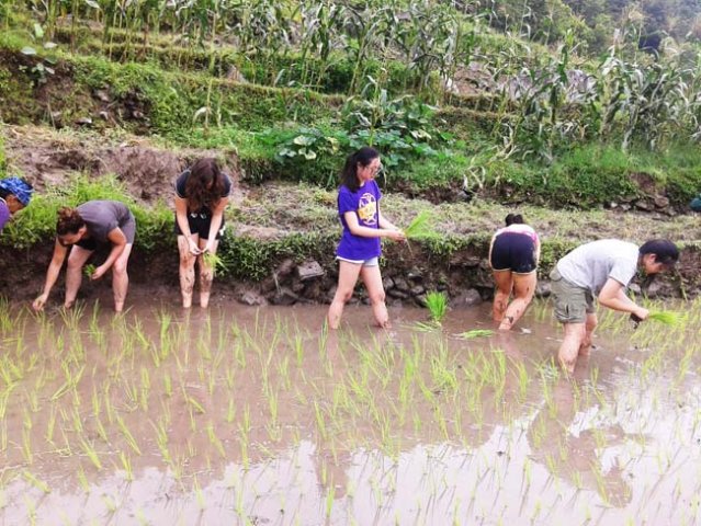 Volunteer trying some irrigation skills